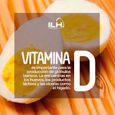 Huevos ricos en vitamina D